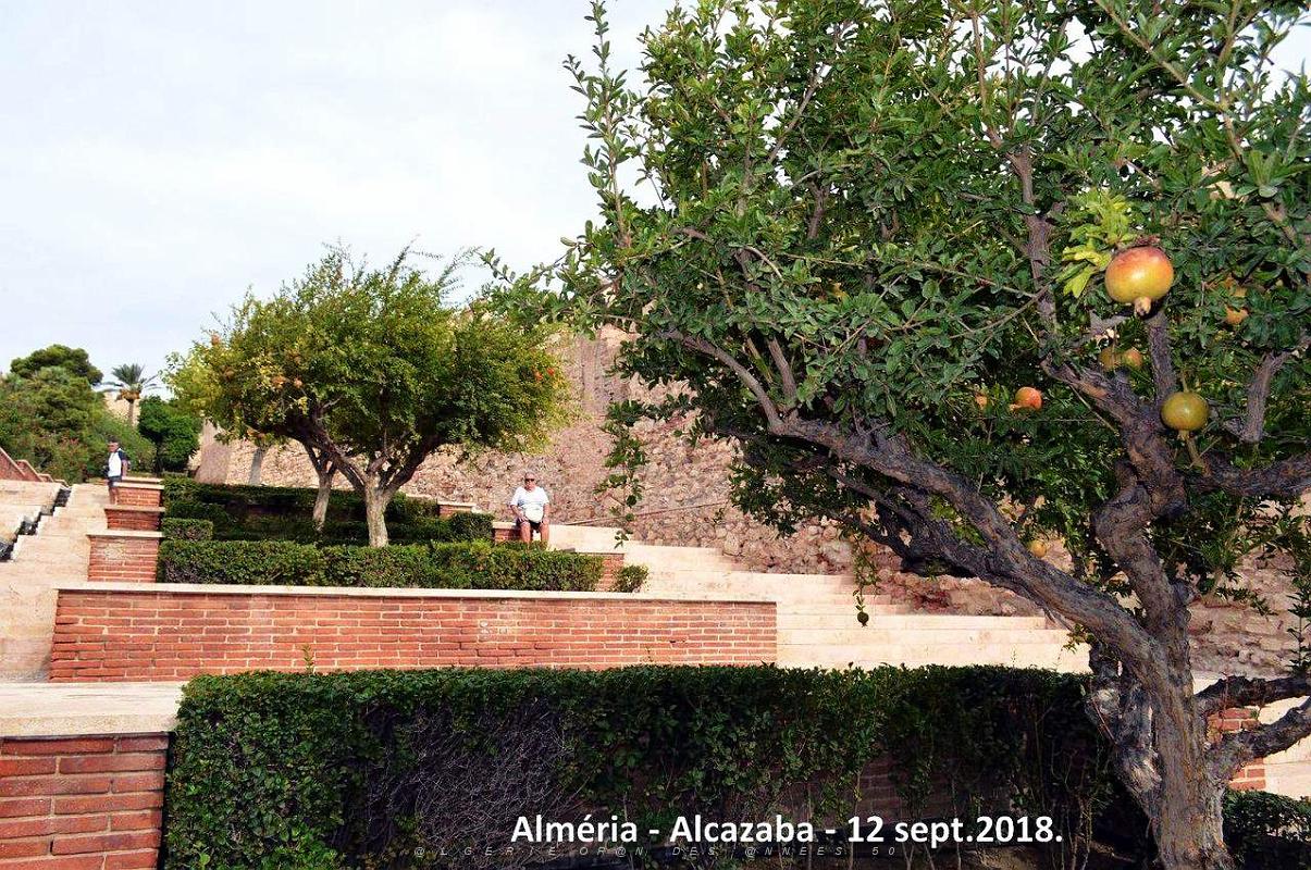 10 ALMERIA ALCAZABA 12 09 2018 (66).JPG